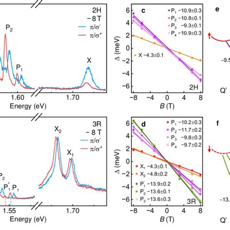 Magneto Optics Of H And R Wse Homobilayers In Experiment And Theory