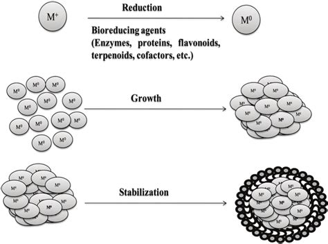 3 Steps Involved In Nanoparticle Synthesis 90 Download Scientific