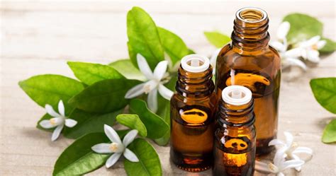 Quelles Huiles Essentielles Pour Une Peau Très Sèche