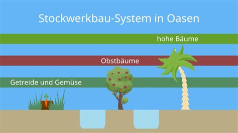 Oasen • Definition, Arten und Beispiele · [mit Video]