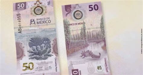 Dan 5 000 000 A Quien Tenga Este Billete De 50 Pesos Del Ajolote N24