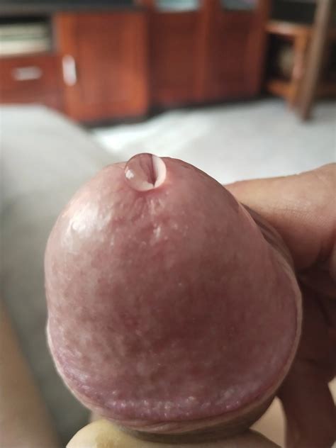 Hard Gland Shaved Cock Precum Drop 14 Nude Pics XHamster
