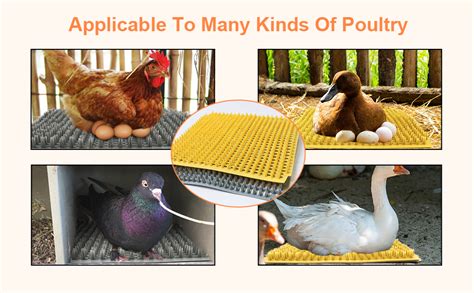 Amazon Howuxzo Pack Washable Chicken Nesting Pads For Chicken