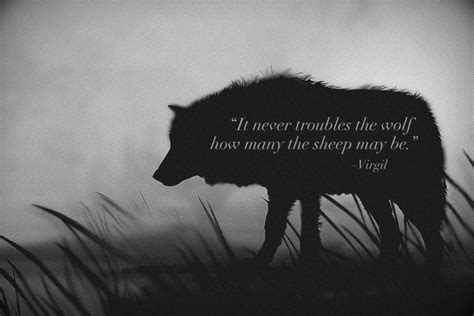 Wolf And Sheep Quotes. QuotesGram