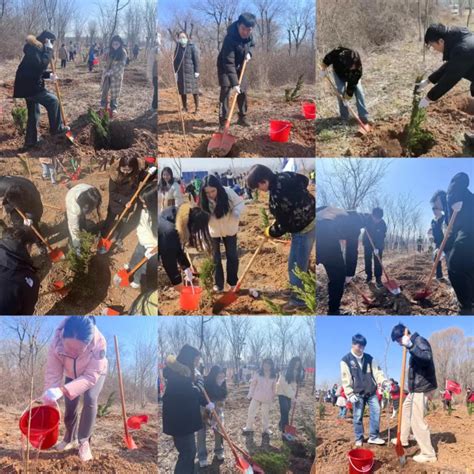 植此青绿助双碳 共护绿美黄河岸——学院师生参加植树节活动 中国国际低碳学院