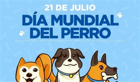 ¡feliz Día Del Perro Conoce Las Razas De Caninos Más Caras Del Mundo