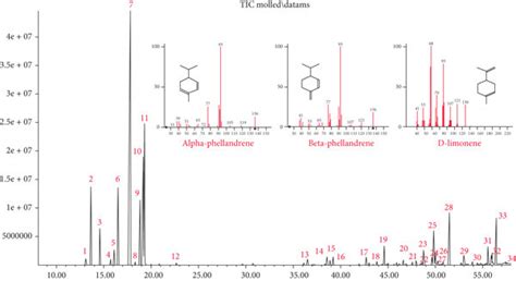 Chromatographic Profile Of The Essential Oil From S Molle Leaves By Gc Ms Download