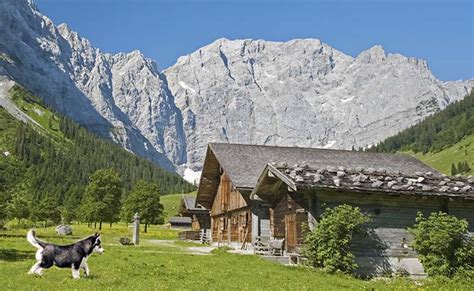 Ferienh User Mit Sauna F R Hundeurlaub In Sterreich