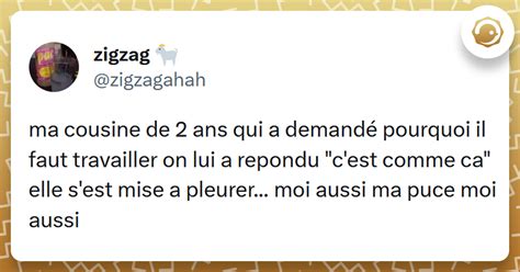 Top 16 Des Meilleurs Tweets Sur Le Travail Mais Pourquoi Faire Twog