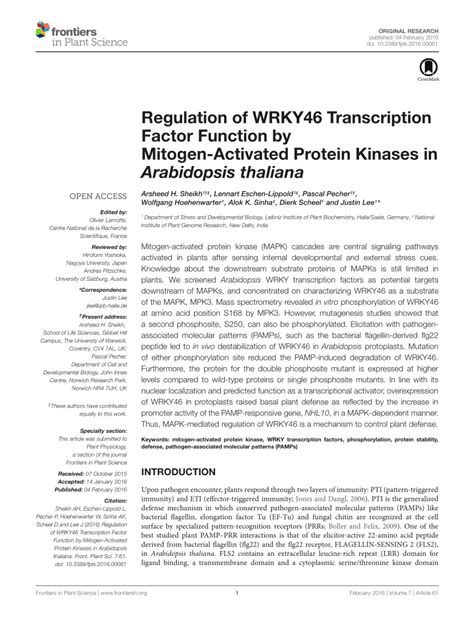 Pdf Regulation Of Wrky46 Transcription Factor Function By Mitogen Activated Protein Kinases In