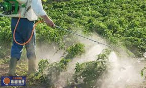 Invita Sedrua al taller Buen Uso y Manejo de Agroquímicos