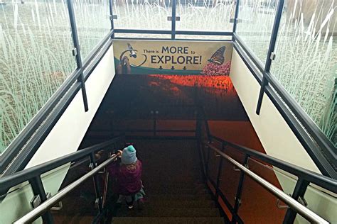 Horicon Marsh: Exploring Wisconsin’s Bird Paradise with your Family