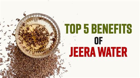 Top 5 Health Benefits Of Consuming Jeera Water Watch Video