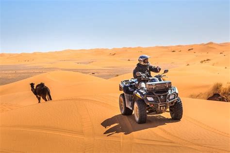 Tripadvisor Safari Serale Nel Deserto Con Quad Fornito Da Dubai