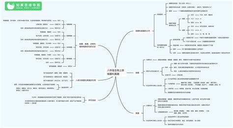 八年级生物上册思维导图 人教版初二生物知识整理知犀官网