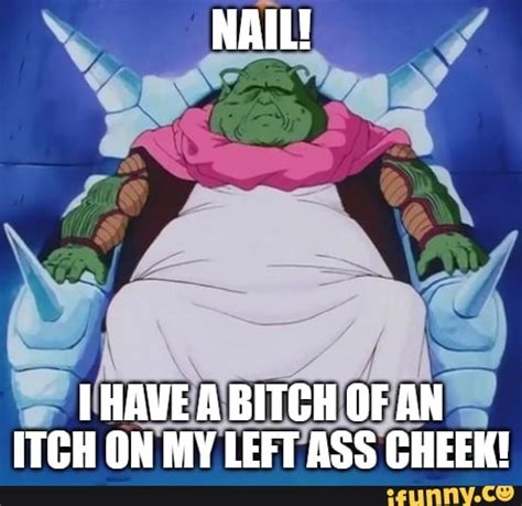 NAIL HAVE A BITCH OF AN ITCH ON MY LEFT ASS CHEEK IFunny