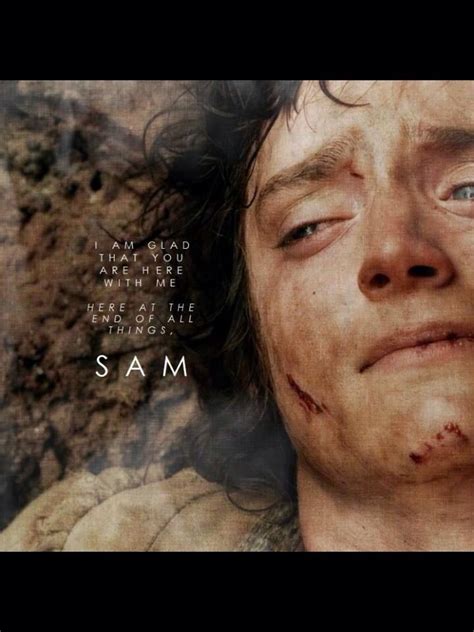 Frodo ALWAYS Makes Me Cry During This Scene Frodo No Sam I Cannot