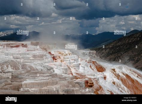 Upper Terrace At Mammoth Hot Spring Yellowstone National Park Wyoming USA Stock Photo Alamy