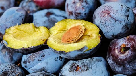 Ciruela Beneficios Y Propiedades De La Fruta Antioxidante Que Ya