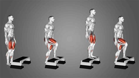 dumbbell step ups master  proper form