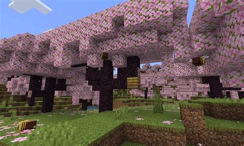 『マインクラフト』の桜バイオームが「全然見つからない」との悲鳴続出。でも丸一日使っても探す価値はある Automaton