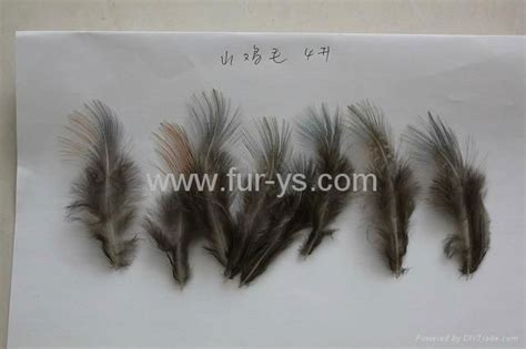 Fly Tying Grizzly Rooster feathers - YS-A-FT-FT-02 - Affable fur (China ...