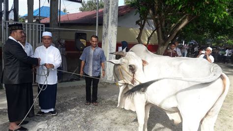 PEDULI MASYARAKAT KURANG MAMPU POLDA GORONTALO SEMBELIH DUA PULUH LIMA