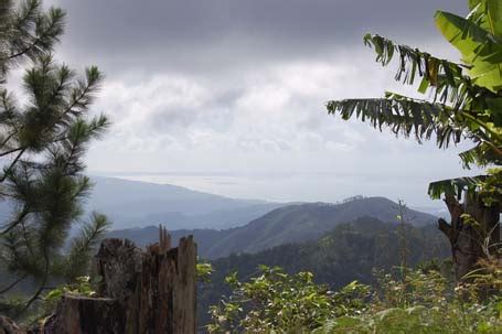 Hiking in Jamaica's Blue Mountains