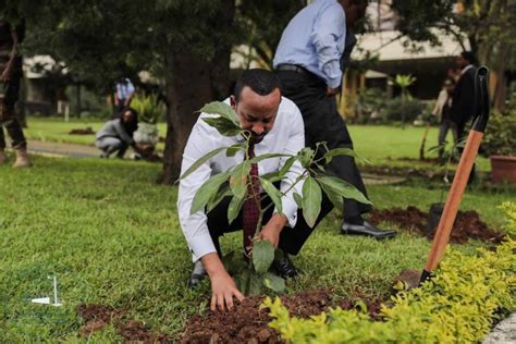 Ethiopia Breaks World Record With 353 Million Trees Planted In 12 Hours