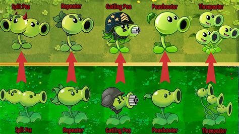 Pvz Gameplay Pvz Every Peashooter Vs Pvz Peashooters Who S