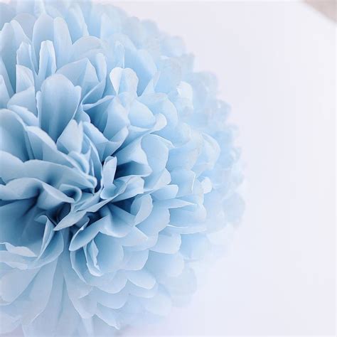 Light Blue Tissue Paper Pom Pom Decopompoms Party Decoration