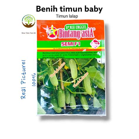 Jual Art R D Benih Baby Timun Semi F Gram Ketimun Hibrida Mini