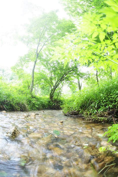 无人竖图室外白天正面旅游度假草地草坪河流美景水植物日本亚洲阴影光线影子河水景观水流云云朵云彩