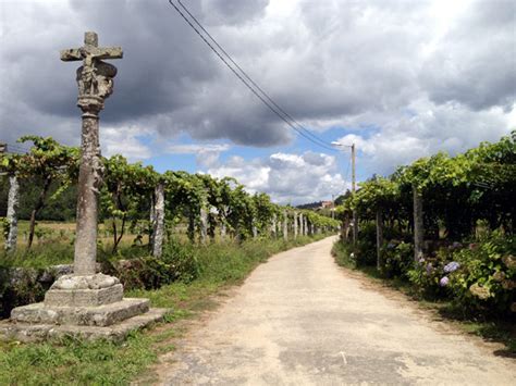 El Camino Portugu S A Santiago Camino De Santiago