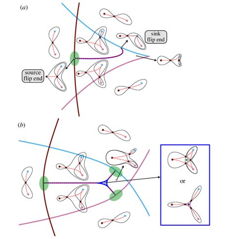 Families With Flip Curves A B Bifurcation Sets The Bifurcation Sets