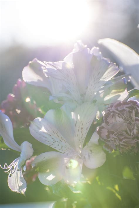 Celebrating the Life of a Loved One with Schleicher Funeral Homes 11