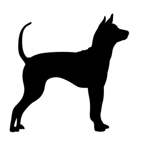 Premium Vector | Vector white background black silhouette of a big dog