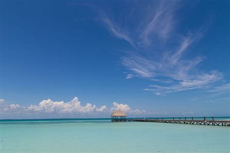 Excursión a Holbox y Arenales Punta Mosquito Tours la Riviera Maya