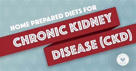 Home Prepared Diets for Chronic Kidney Disease (CKD)