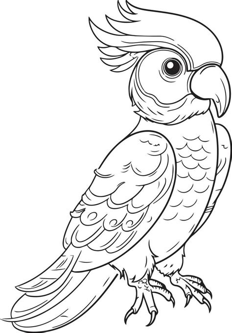 Parrot Vector Outline Coloring Book Parrot Design 22759992 Vector Art