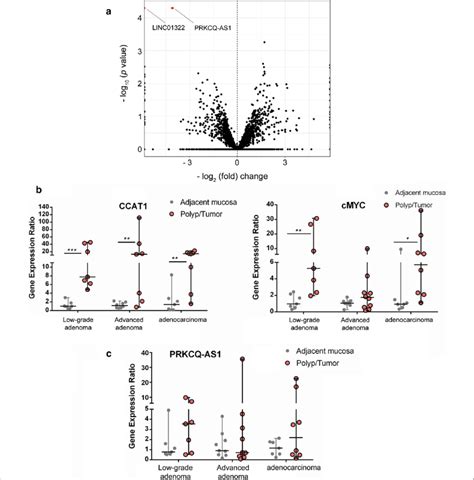 Volcano Plot Of Differentially Expressed Genes In CCAT1 Ko Cells And