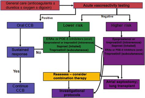 Pulmonary Arterial Hypertension Management Algorithm Modified With