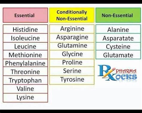 Classification of Amino Acids