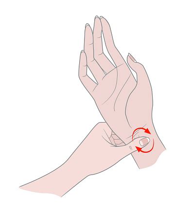 Exercises For The Hands Against Inflammation Of The Joints And ...