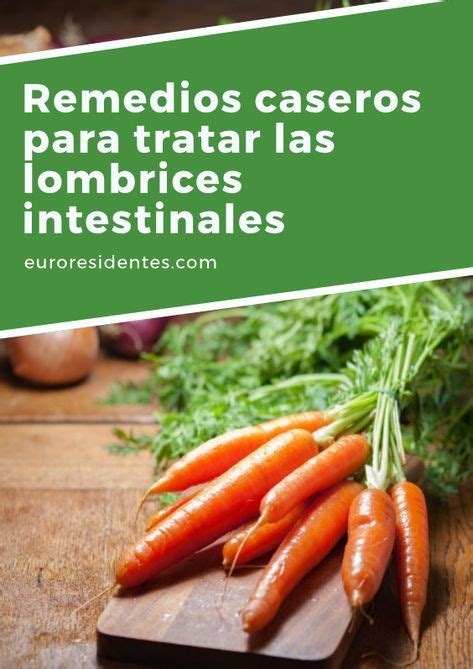 Remedios Caseros Para Tratar Las Lombrices Intestinales Salud Food