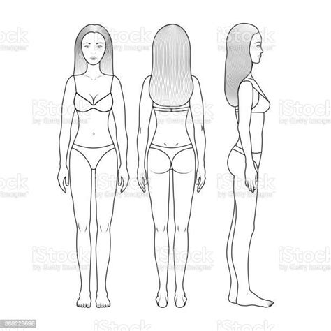 Ilustración De El Cuerpo De Una Mujer En Tres Proyecciones Y Más