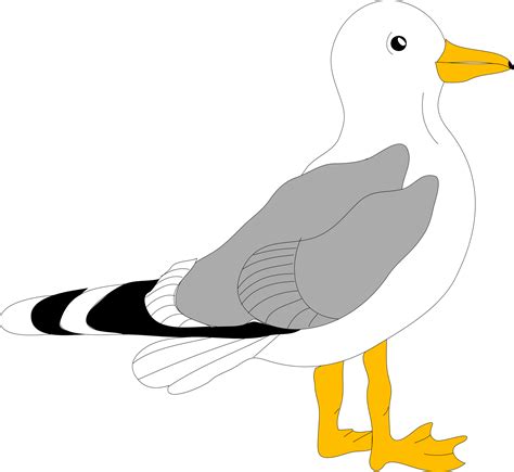 Flying seagull clipart. Free download transparent .PNG Clipart Library - Clip Art Library