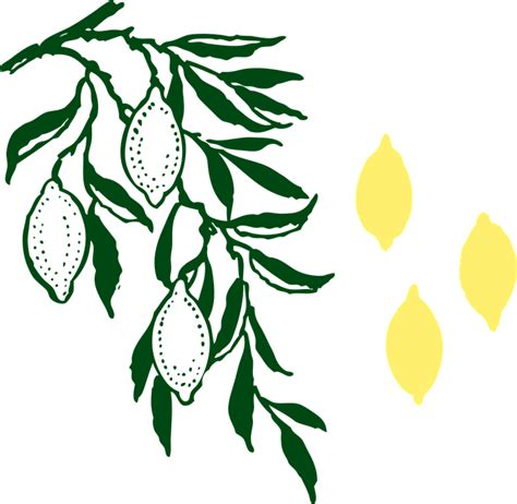 Download Lemon Tree Nature Lemons Royalty Free Vector Graphic Pixabay