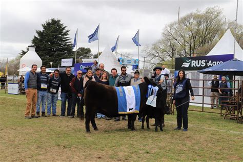 La Nacional Angus De Primavera Tiene A Sus Grandes Campeones Expoagro