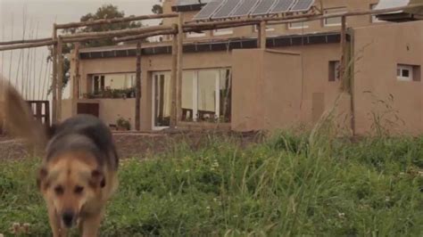 Descubre La Encantadora Casa De Madera Stina Un Refugio Acogedor De